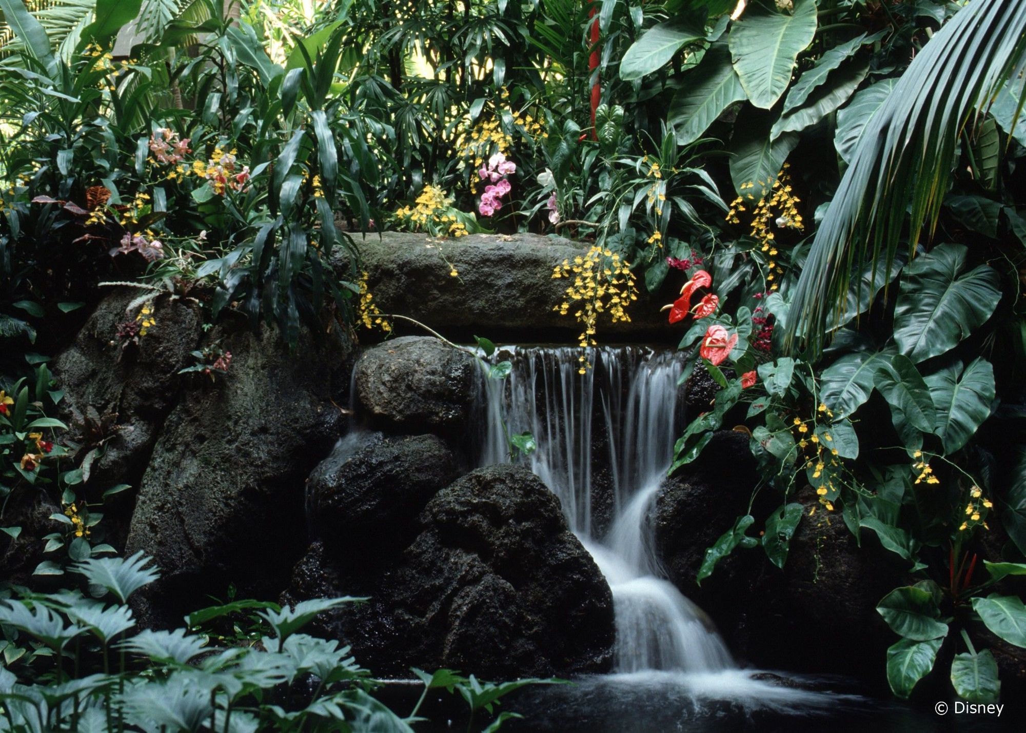 Disney'S Polynesian Village Resort Orlando Exteriör bild